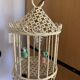 Bird cage lamp in vintage ceramics 50 years