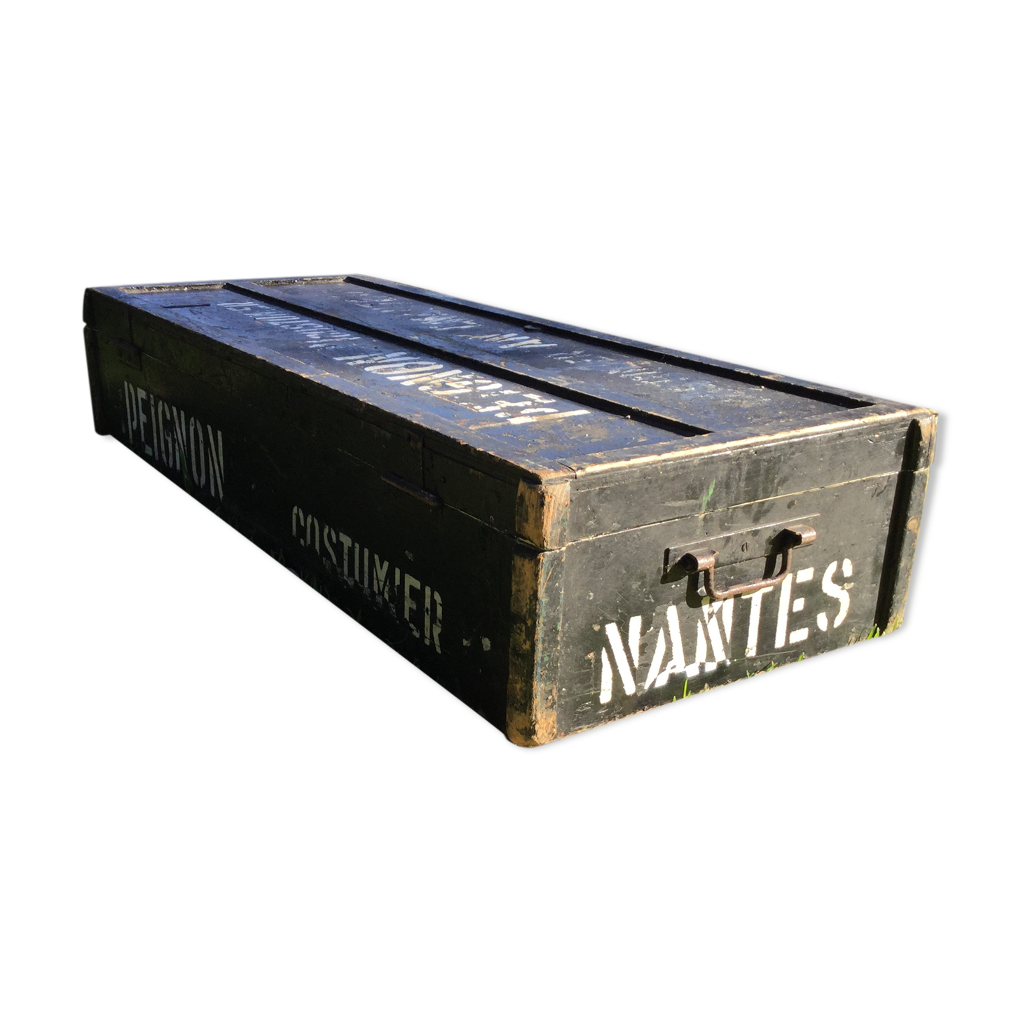 Painted home suit trunk