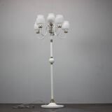 Mid-Century Floor Lamp by Drukov Brno, 1970s, Czechoslovakia