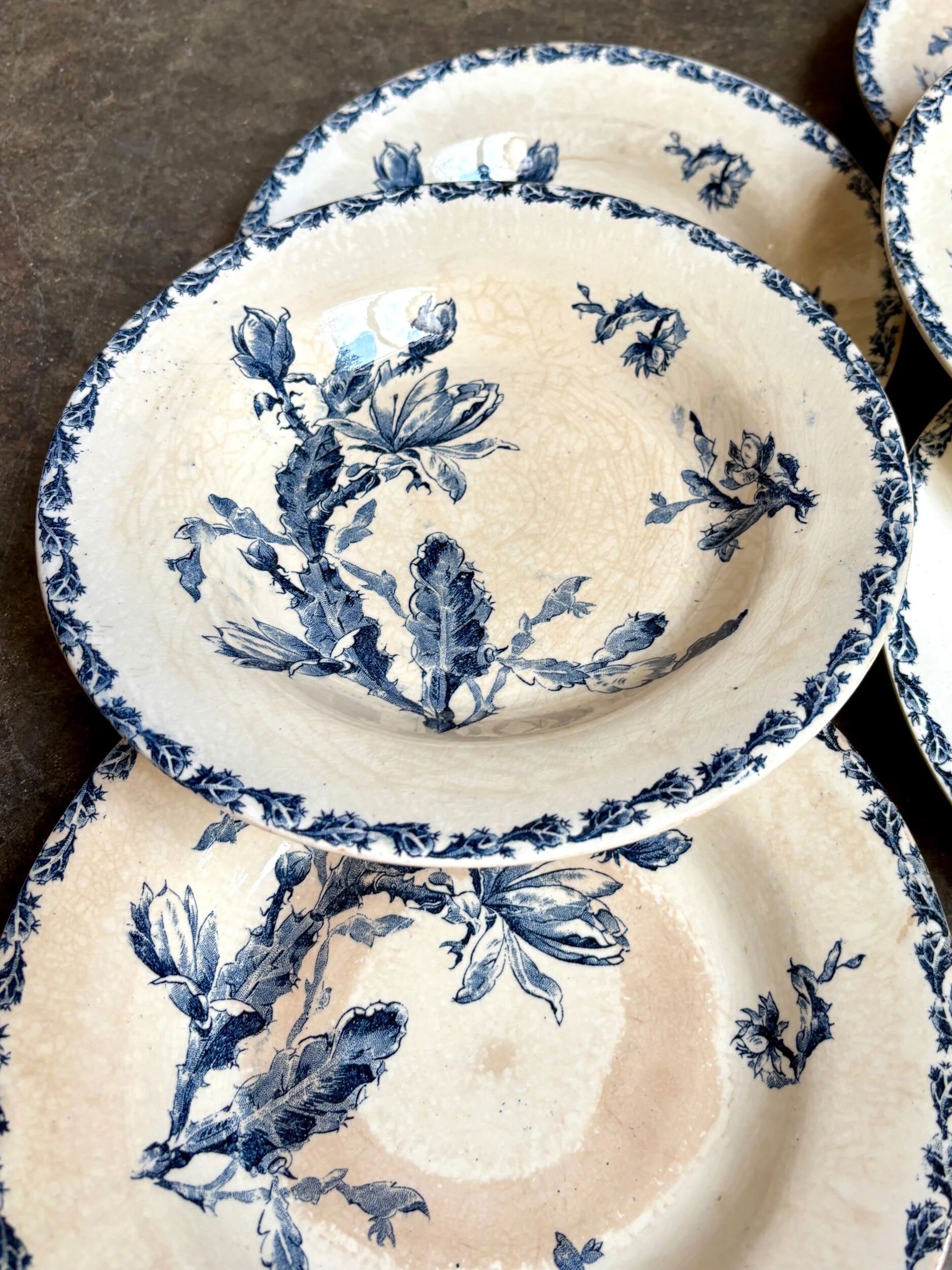 6 deep plates Gien in blue ironstone, "Cactus" service.