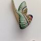 Two exotic birds in slip to hang