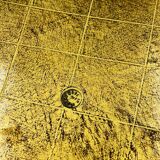 Decorative vintage baroque gold plateau