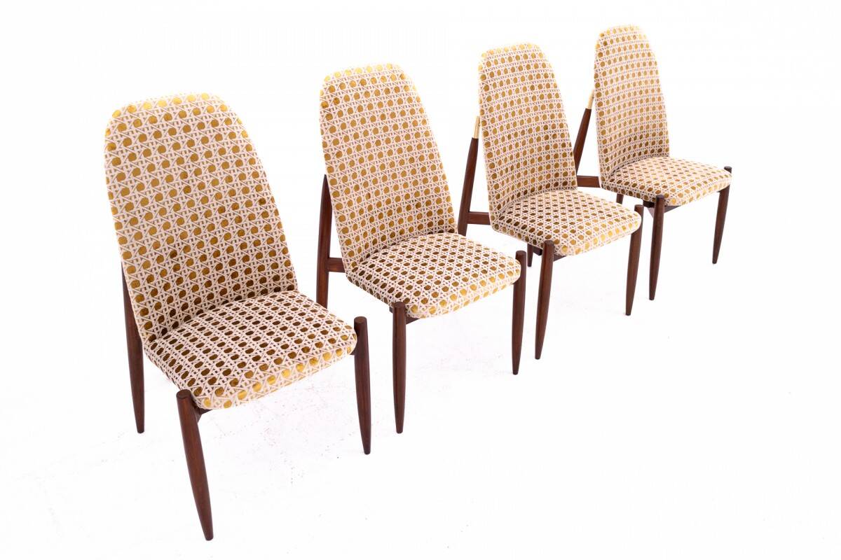 Set of 4 chairs, Czechoslovakia, 1950s. After renovation