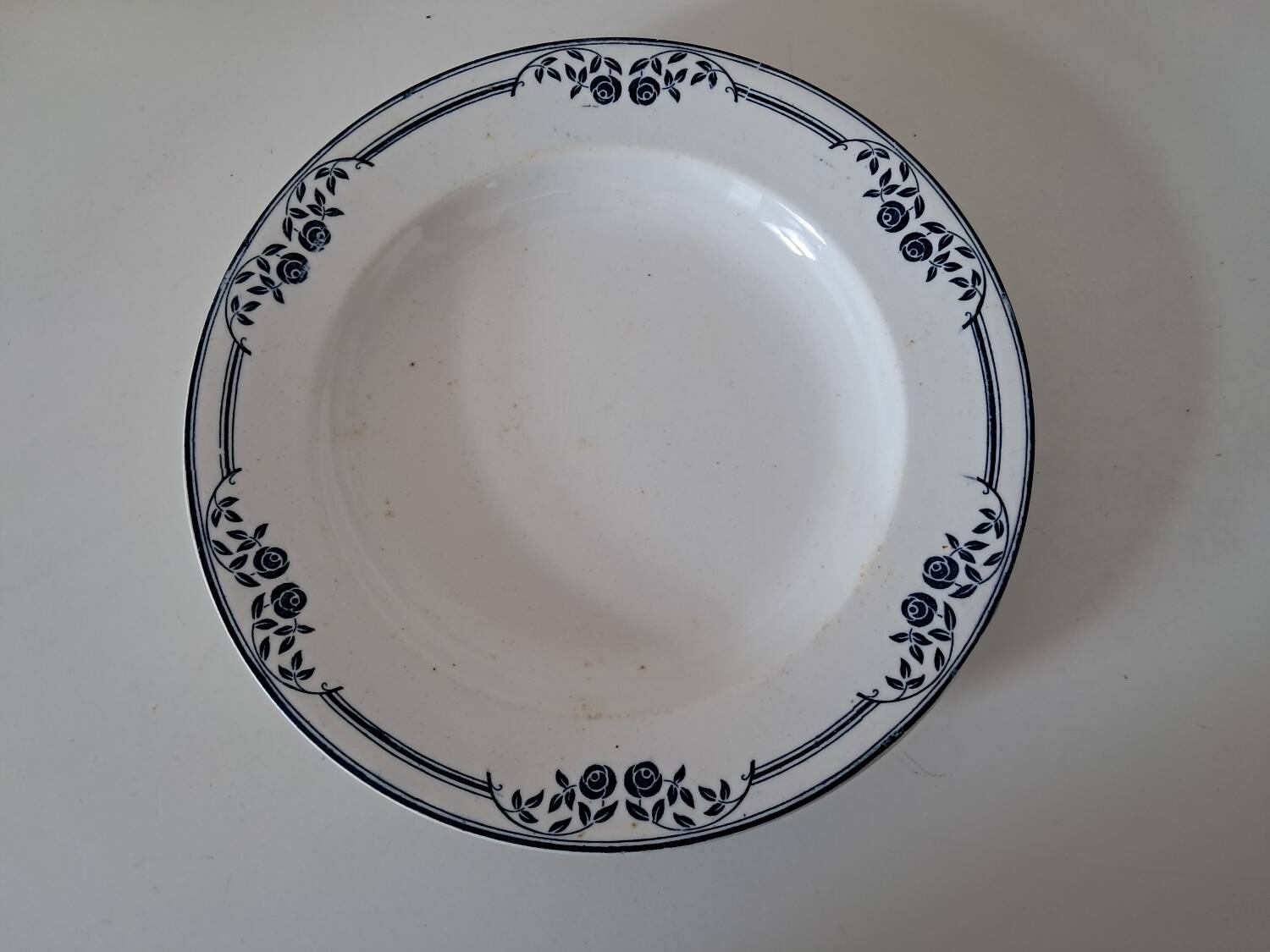 Saussure deep plates, Terre de Fer EC