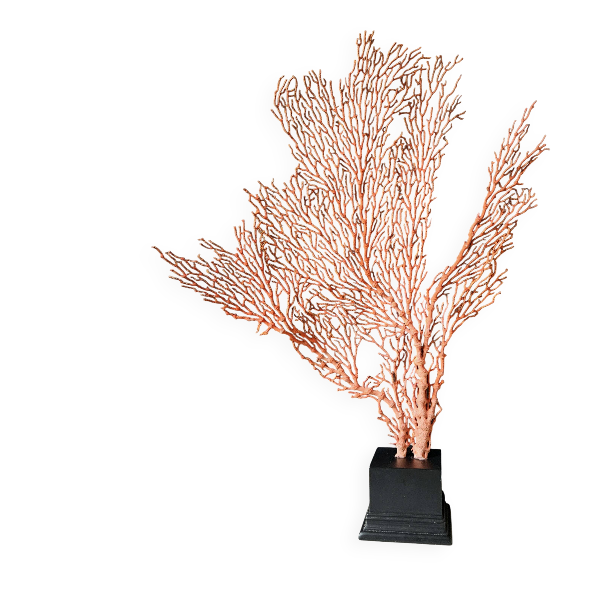 Gorgone Rouge XXL Wooden Base. H: 47 cm | Decorative Object l PlaceOdd