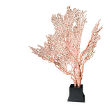 Gorgone Rouge XXL Wooden Base. H: 47 cm | Decorative Object l PlaceOdd