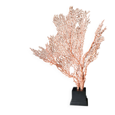 Gorgone Rouge XXL Wooden Base. H: 47 cm | Decorative Object l PlaceOdd