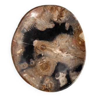 Large empty pocket or dish in petrified wood