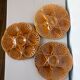 3 oyster plates from Sarreguemines 250907