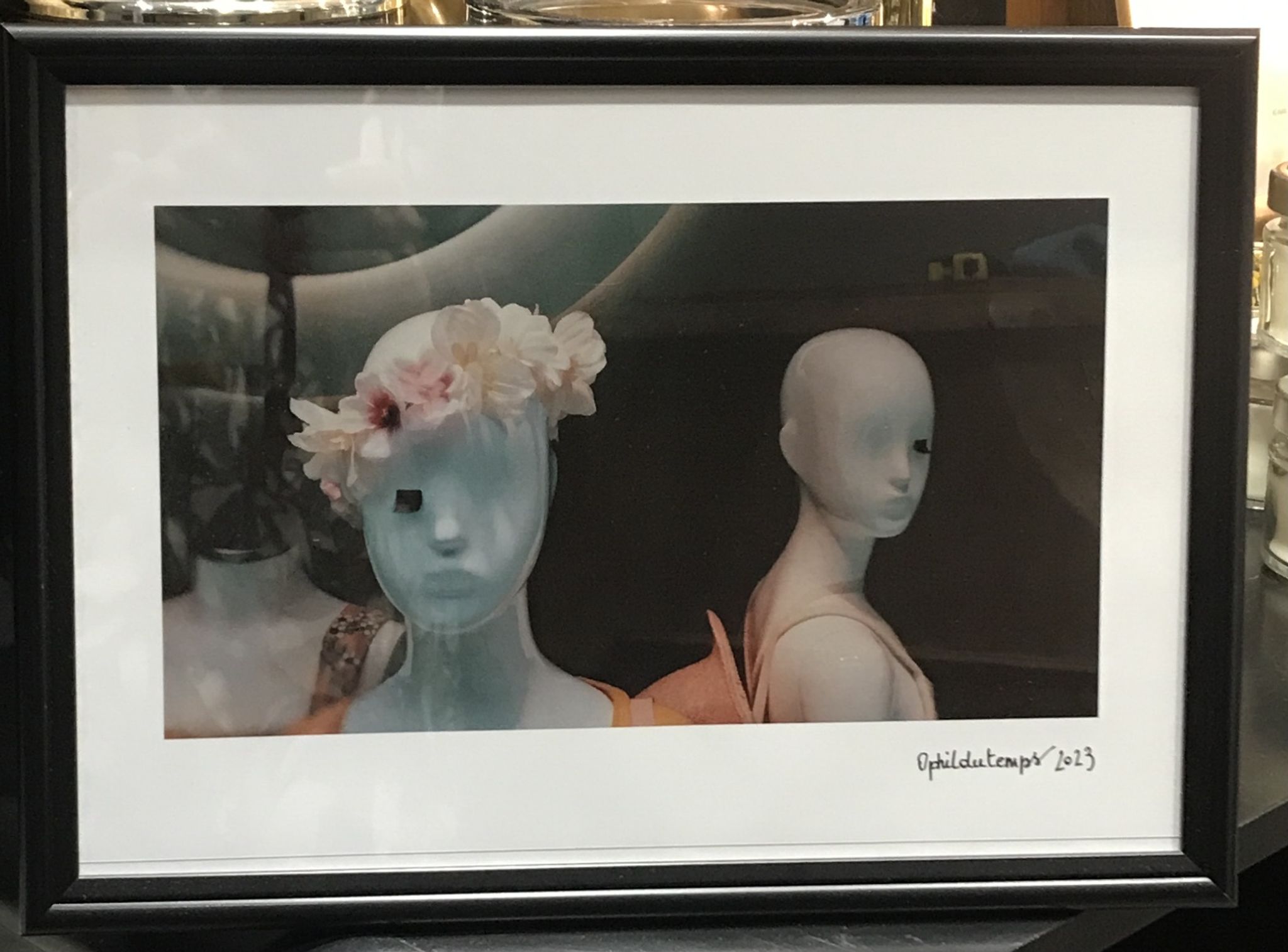 Photo mannequins showcase woman color large model