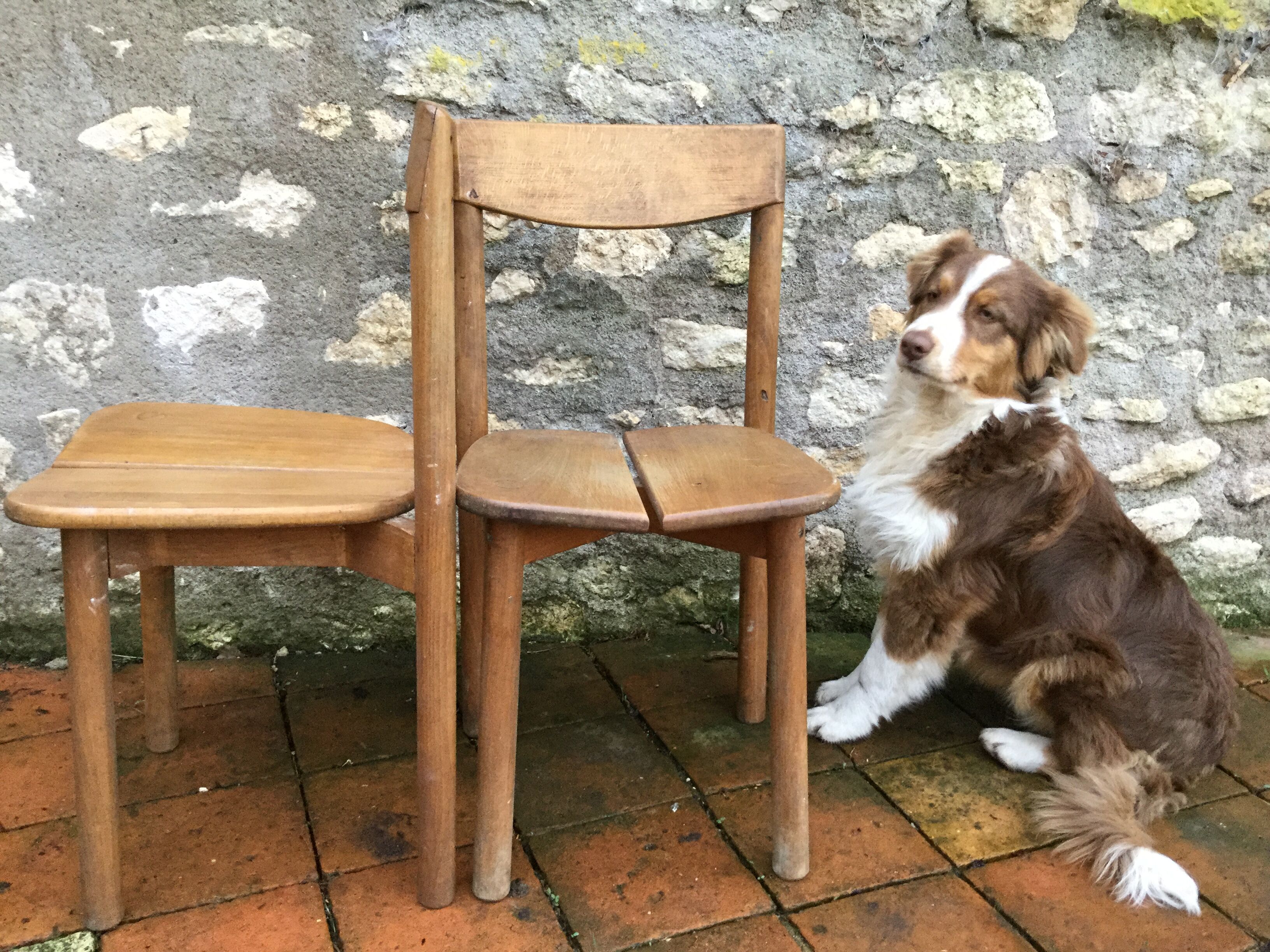 A pair of Chair grain of Café Pierre Gautier - Delaye