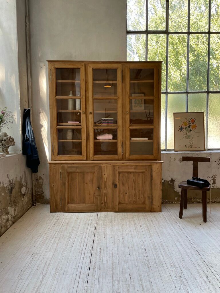 Napoleon oak and pine library