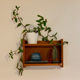 Vintage 1960s light wood wall exterior