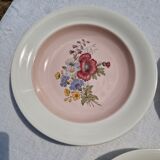 10 Vintage Villeroy & Boch Soup Plates Model 1584