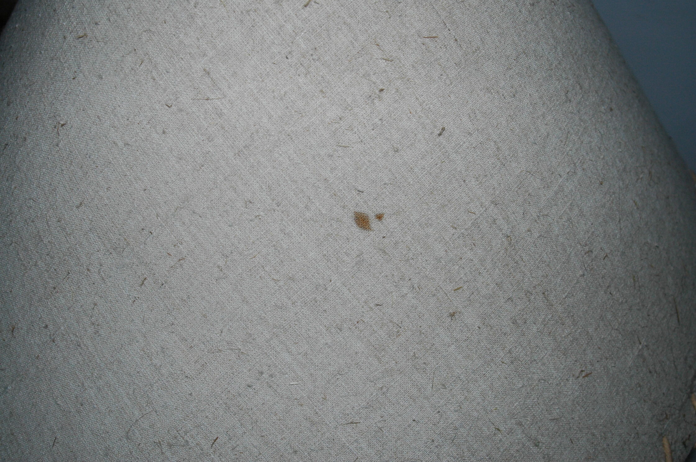 Leather-wrapped lamp