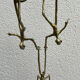 African bronze The balancing acts