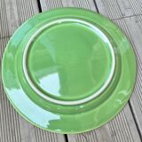 Large plate or green ceramic presentation dish