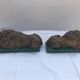 Pair old greenhouse books lions terracotta painted vintage decoration