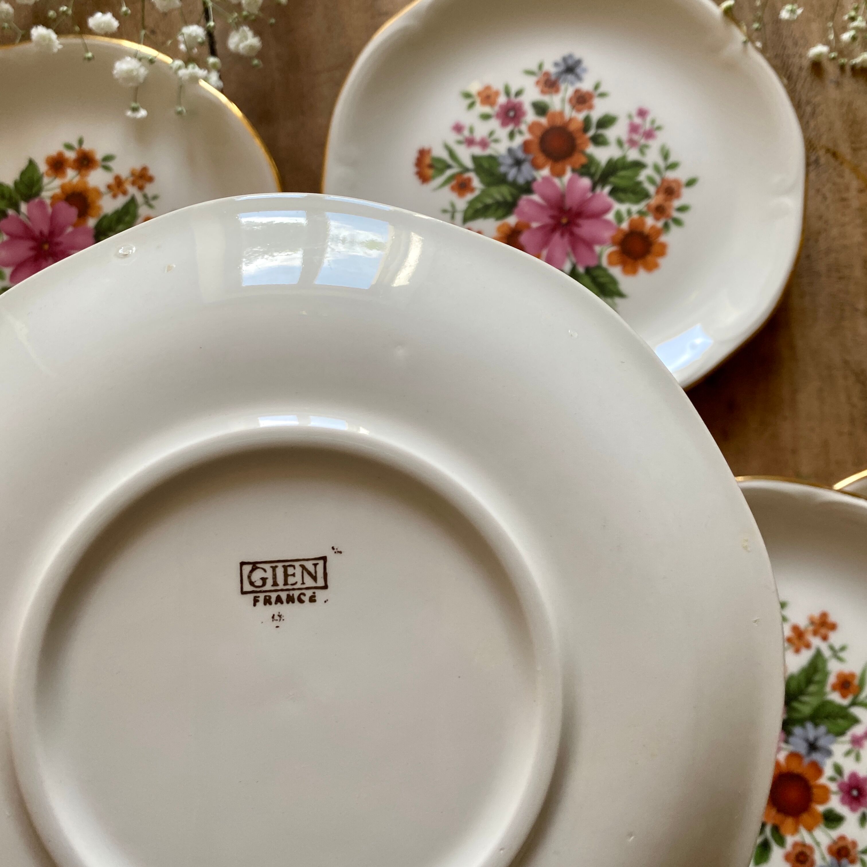 Set of 6 vintage plates from the gien manufacture