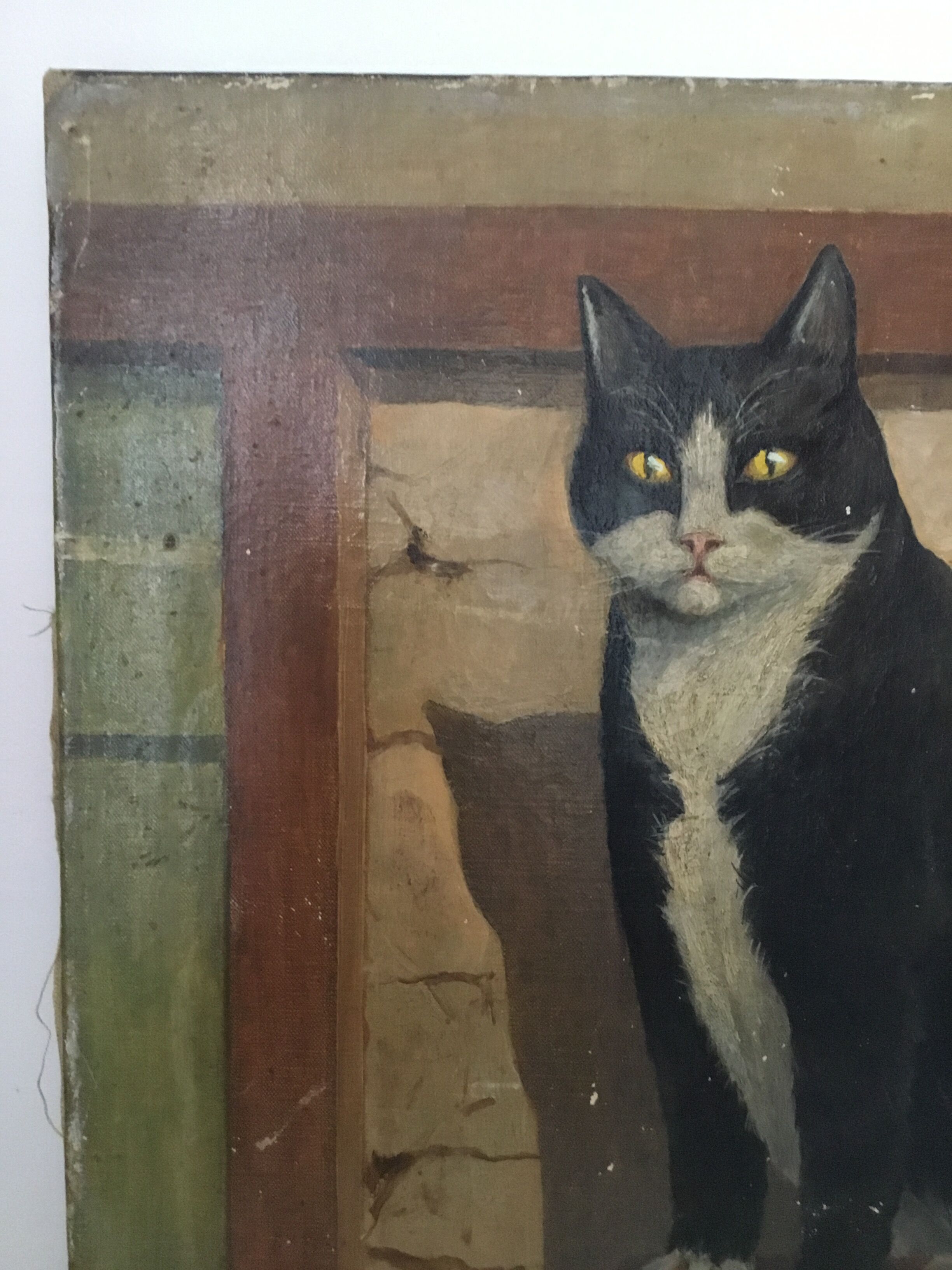 Portrait de chat 1938