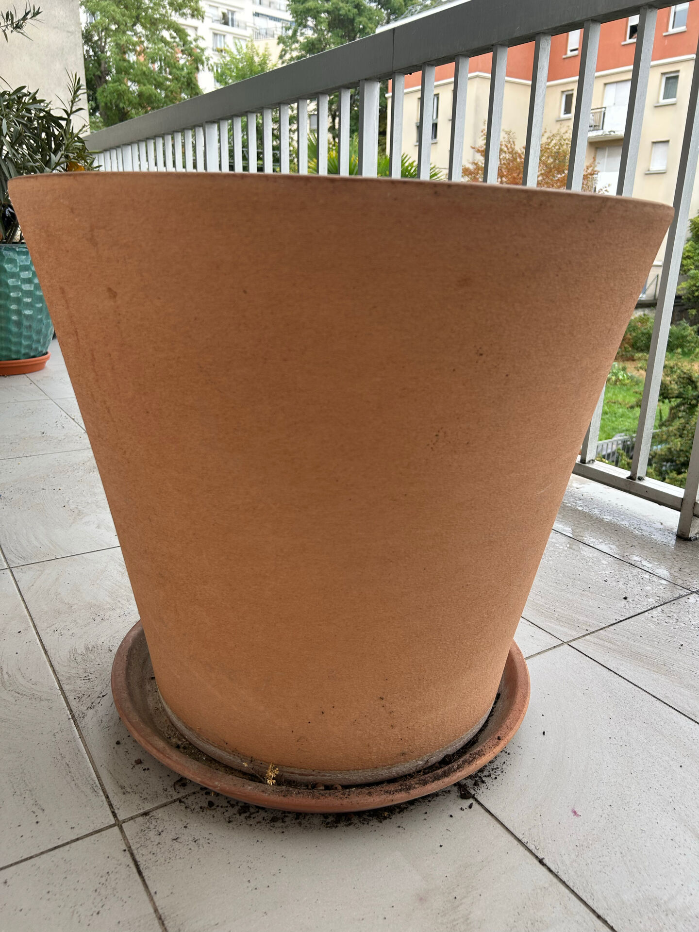 Large terracotta pot