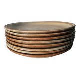Stoneware plates set of 8