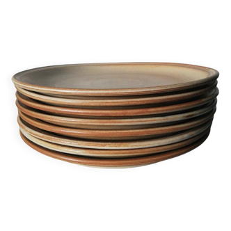 Stoneware plates set of 8