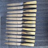 12 horn handle knives