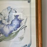 Iris flower on paper with vintage wooden frame