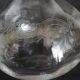 9 crystal white wine glasses from St. Louis model Cléo and their decanter.
