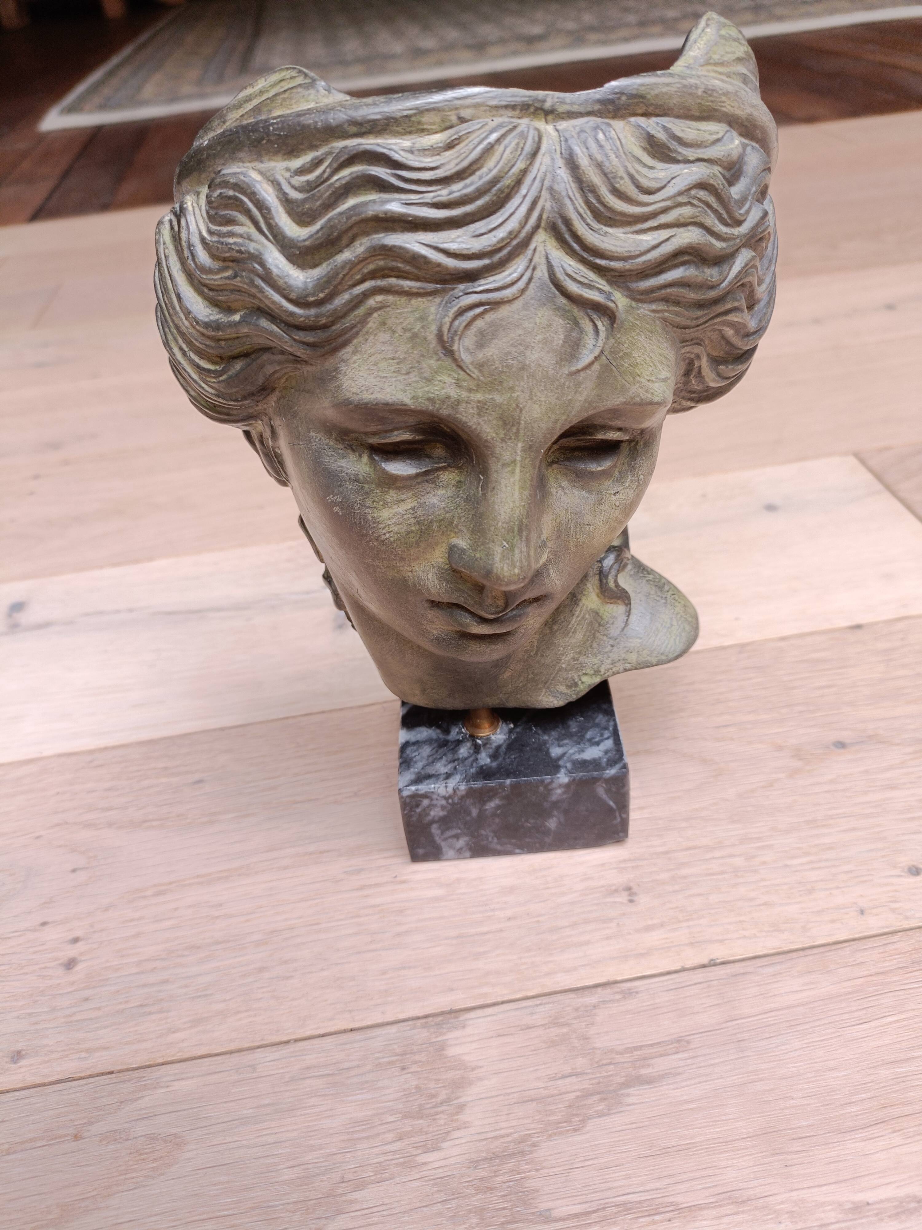Head of a figure of antiquity