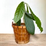Rattan planters