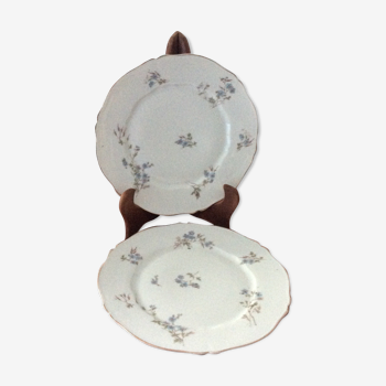 Anciennes assiettes porcelaine mousseline theodore haviland