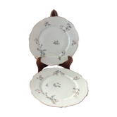 Anciennes assiettes porcelaine mousseline theodore haviland