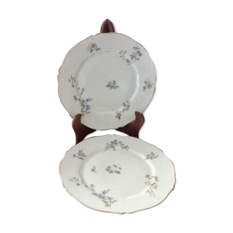 Old porcelain plates mousseline Theodore Haviland