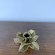 Brass Flower Candle Holder, 1970