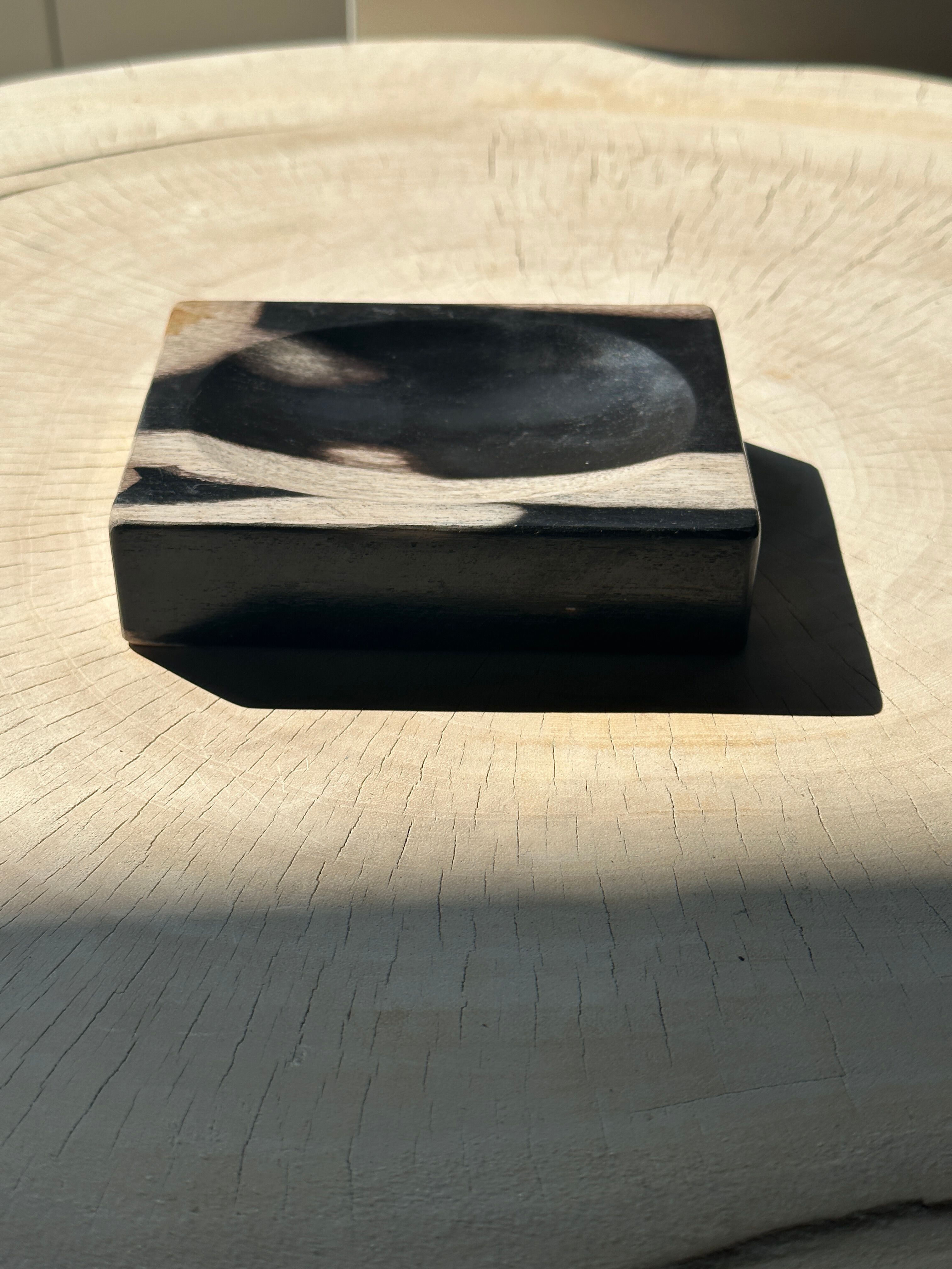 Symmetrical multicolored petrified wood soap dish