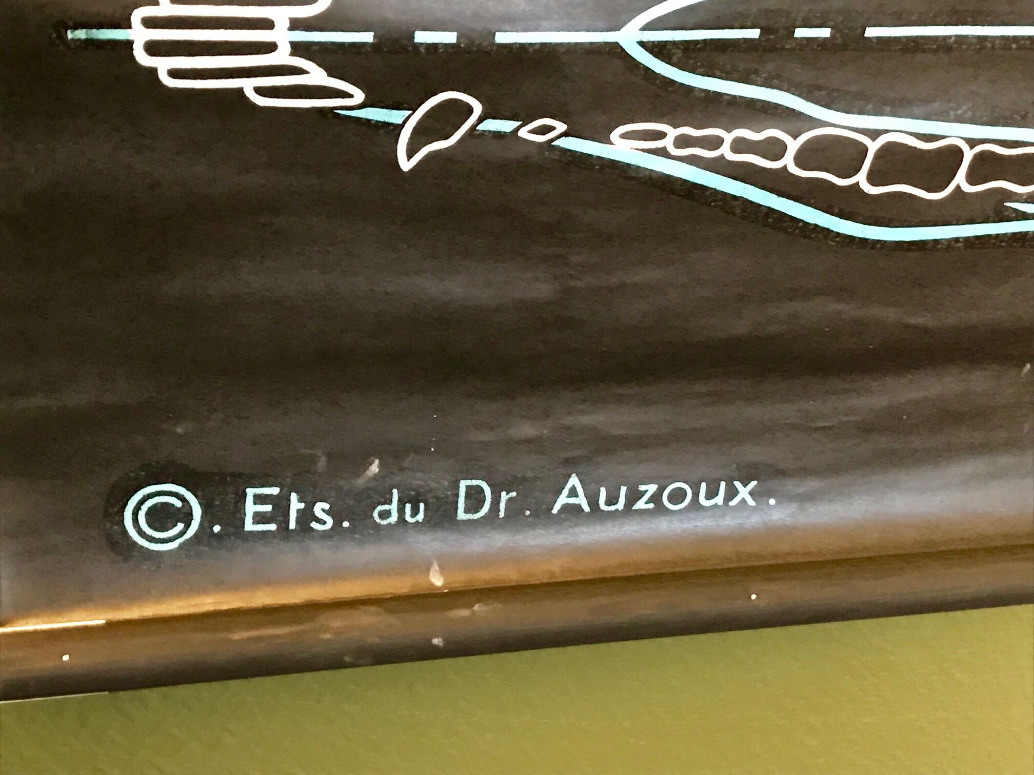 Affiche pédagogique Le Cochon