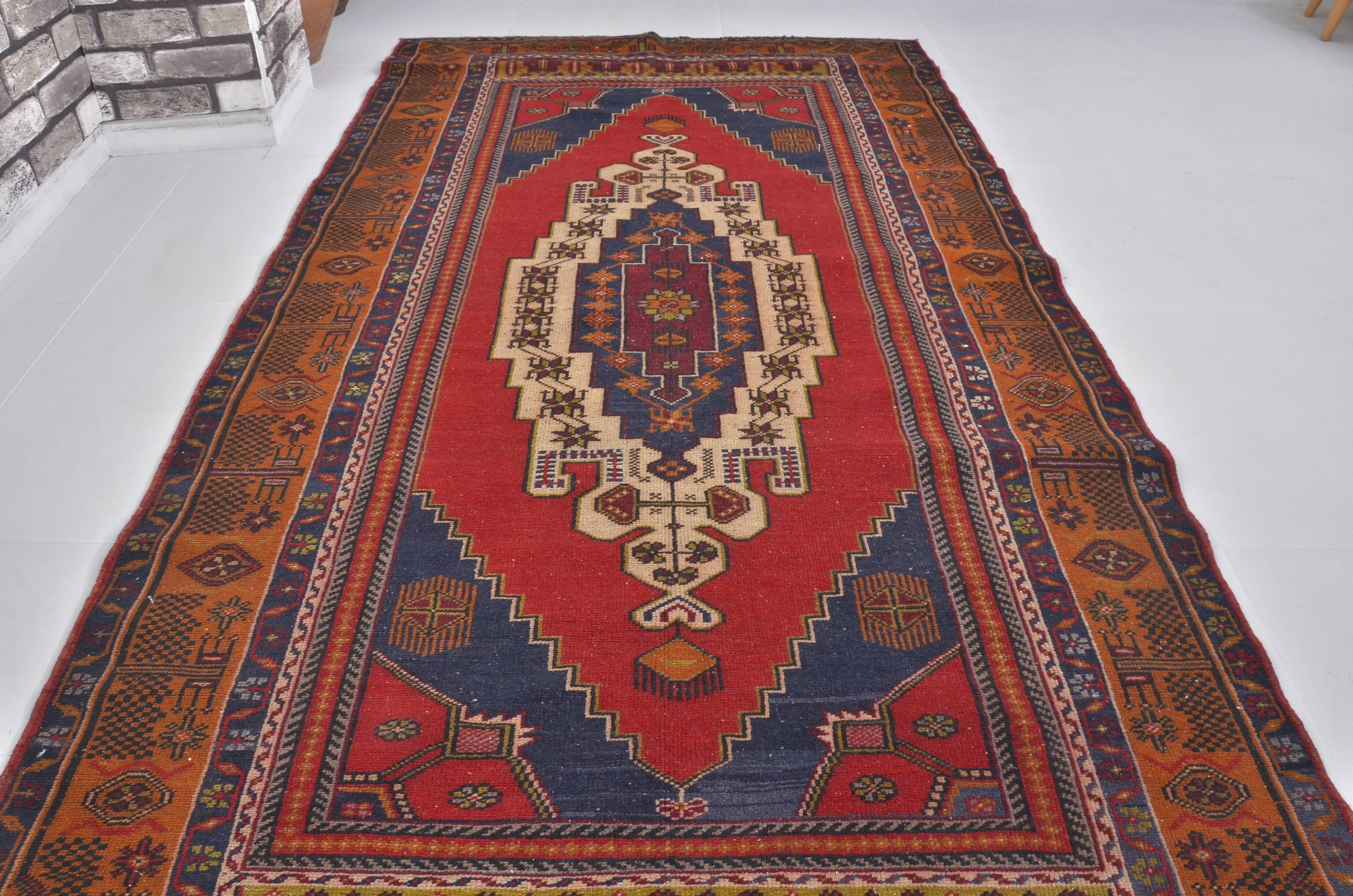 Red & Brown Anatolian Rug sku 2575