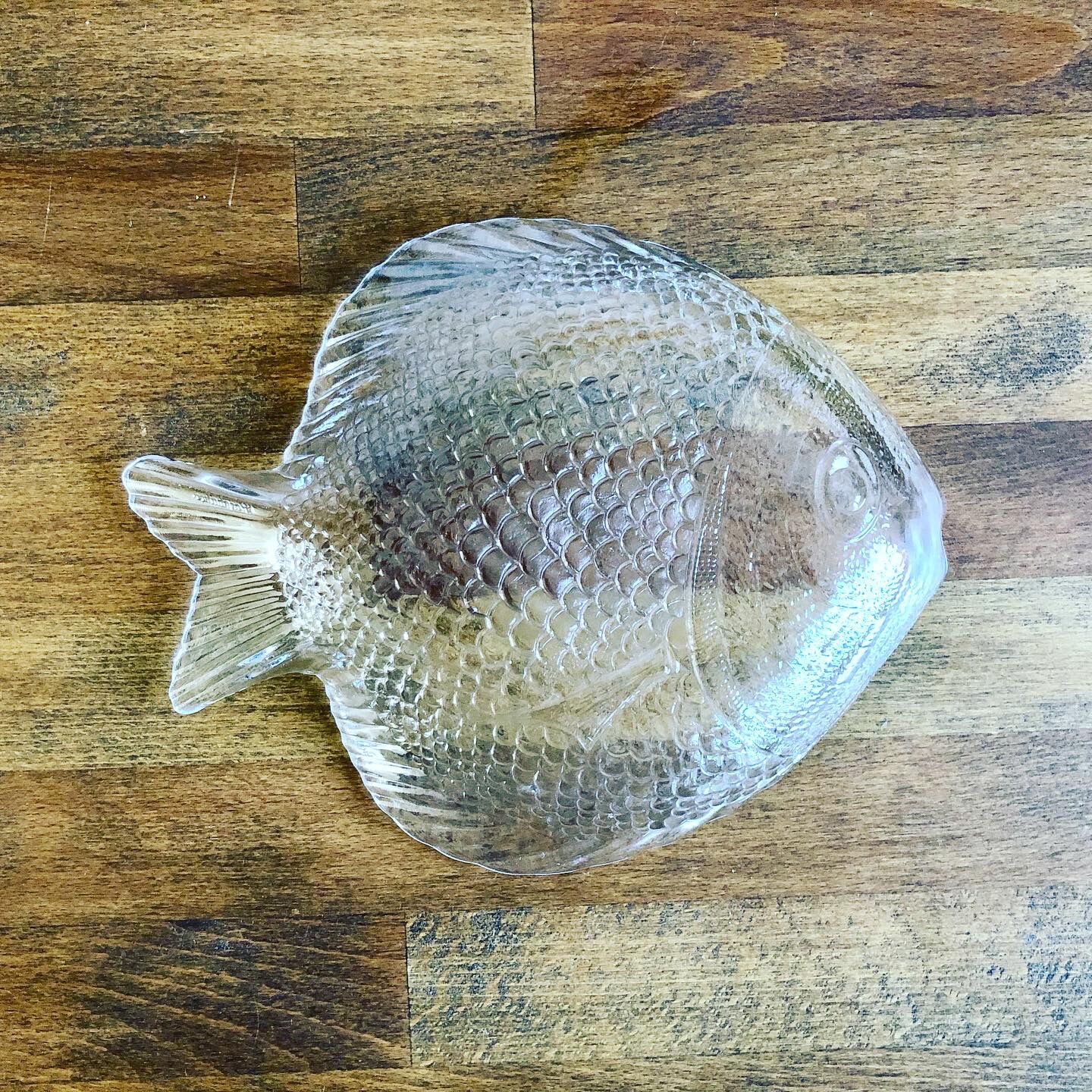 Lot of 8 plates arcoroc fish