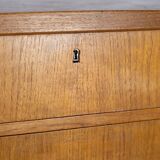Chest of drawers in danish design 1960s