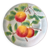 Old plate in St Clément clementines slip