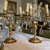 Bronze and crystal chandelier floor lamp