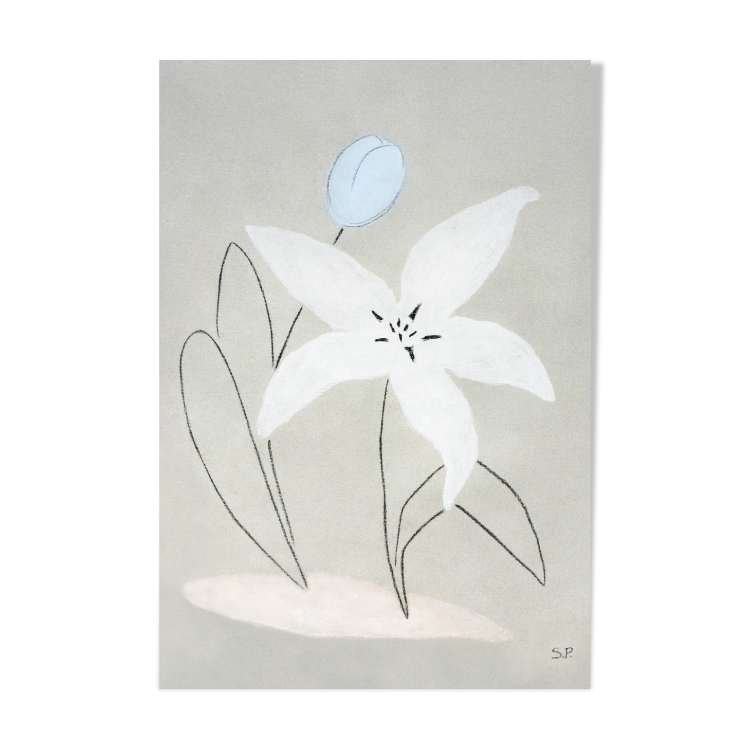 Fleurs "Lilia" - Impression d'art A4