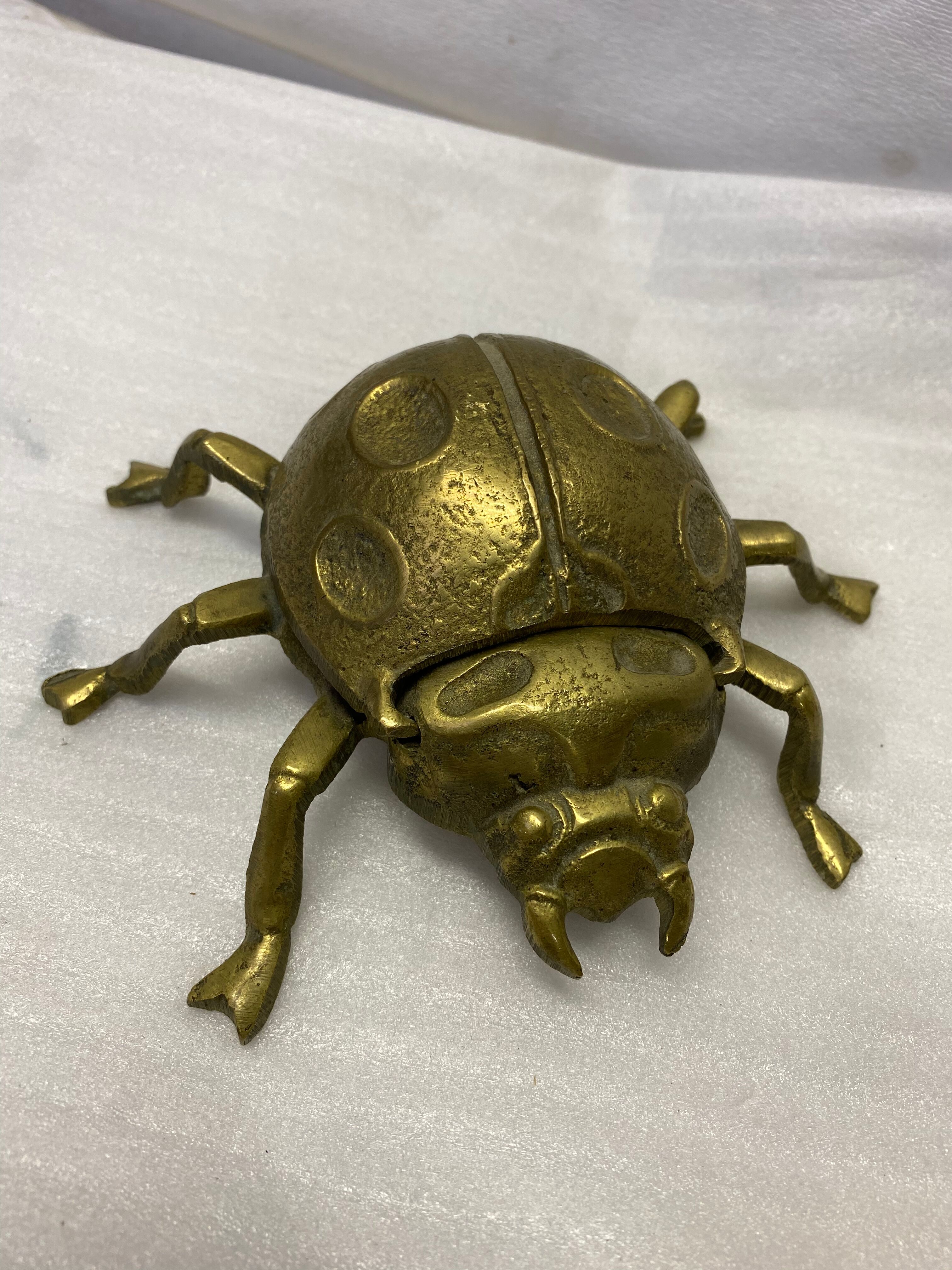 Empty pocket scarab