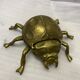 Empty pocket scarab