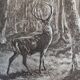 Illustration sepia " cerf"