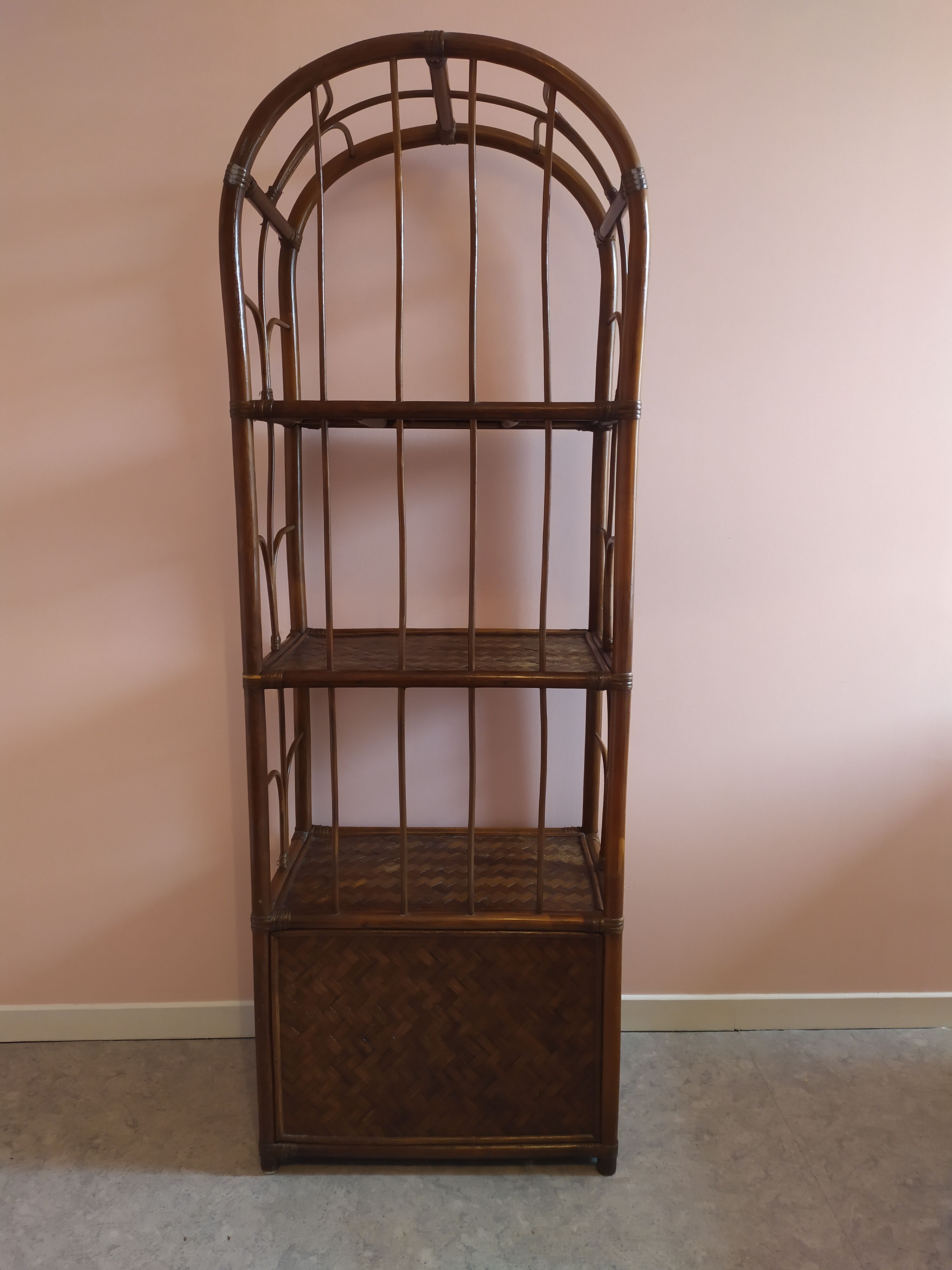 Rattan and bamboo library