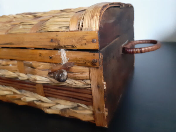 Rattan/wicker case