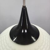 Adjustable Czech Pendant Light, Opaline Glass, 1970s